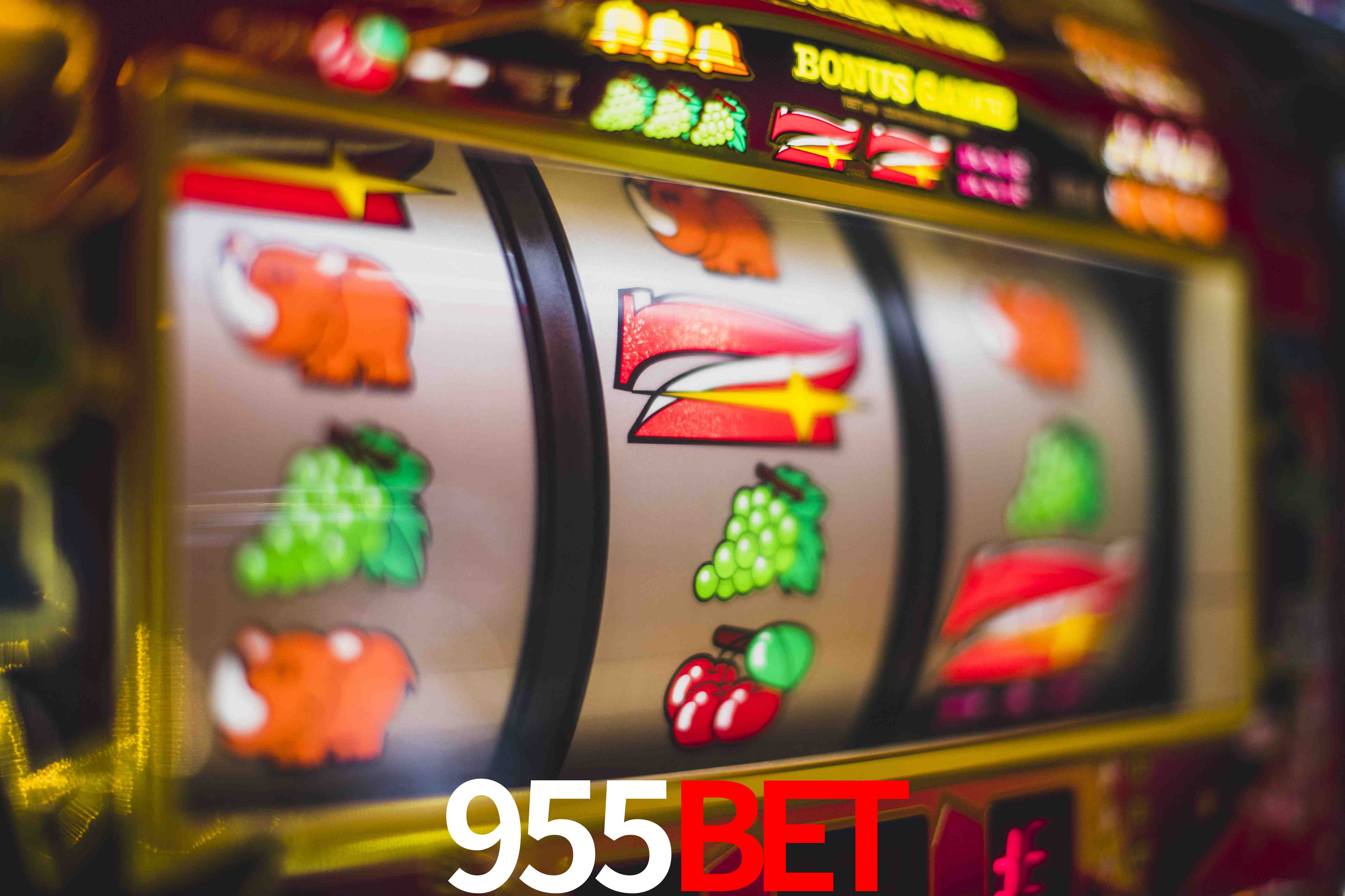 Tournaments 955Bet